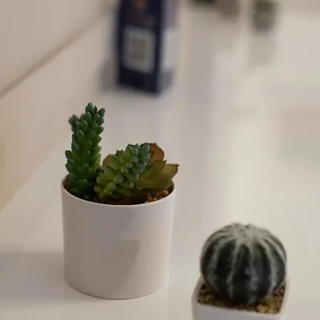 Medluxe Cozy Apartment! Apartament